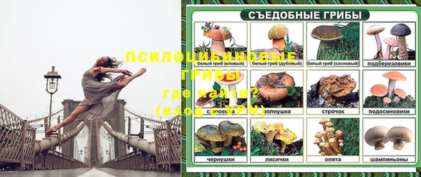 бошки Михайловск