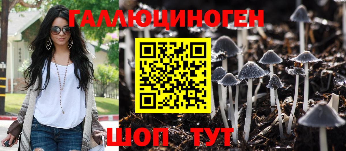 где купить наркотик  Владивосток  Галлюциногенные грибы Psilocybe  Галлюциногенные грибы мицелий 