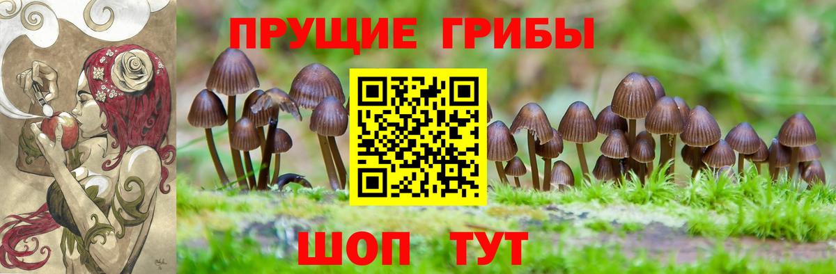 Псилоцибиновые грибы Psilocybine cubensis Владивосток