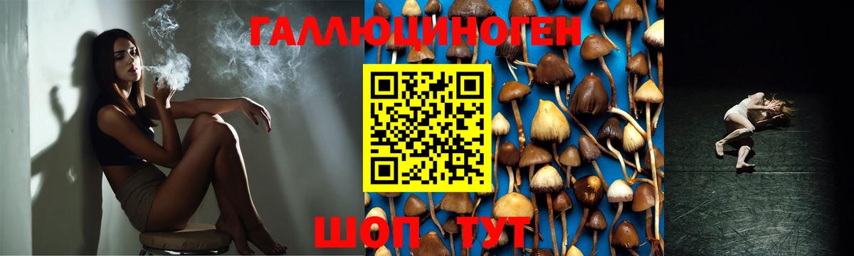 Галлюциногенные грибы мухоморы  Галлюциногенные грибы ЛСД  Владивосток  Вход с VPN 